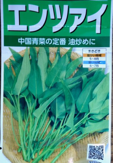 空芯菜の種